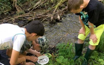 Projekttag am Bach