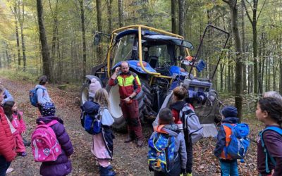 Eindrücklicher Waldtag der Primarschule Siglistorf am 26. Oktober 2021